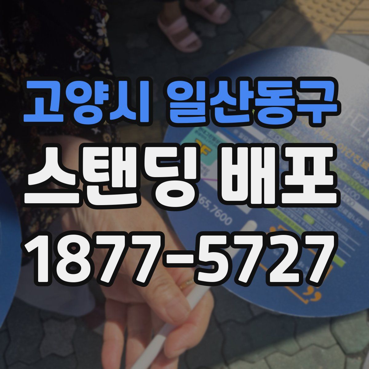 고양시 일산동구 스탠딩 배포