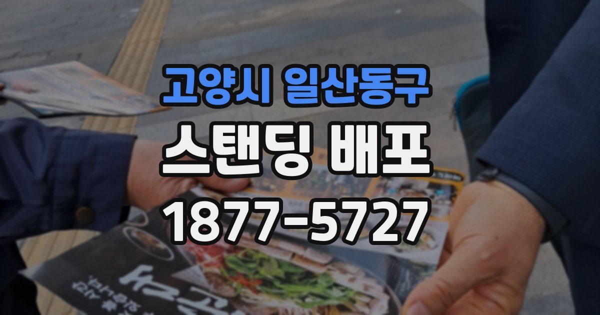 고양시 일산동구 스탠딩 배포