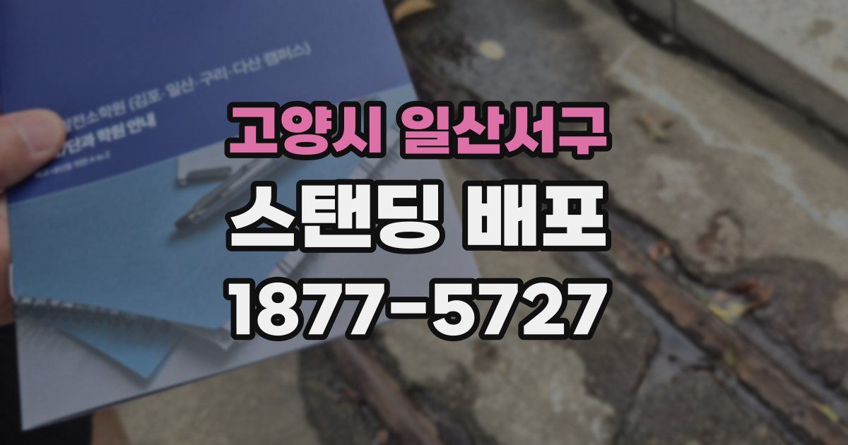 고양시 일산서구 스탠딩 배포