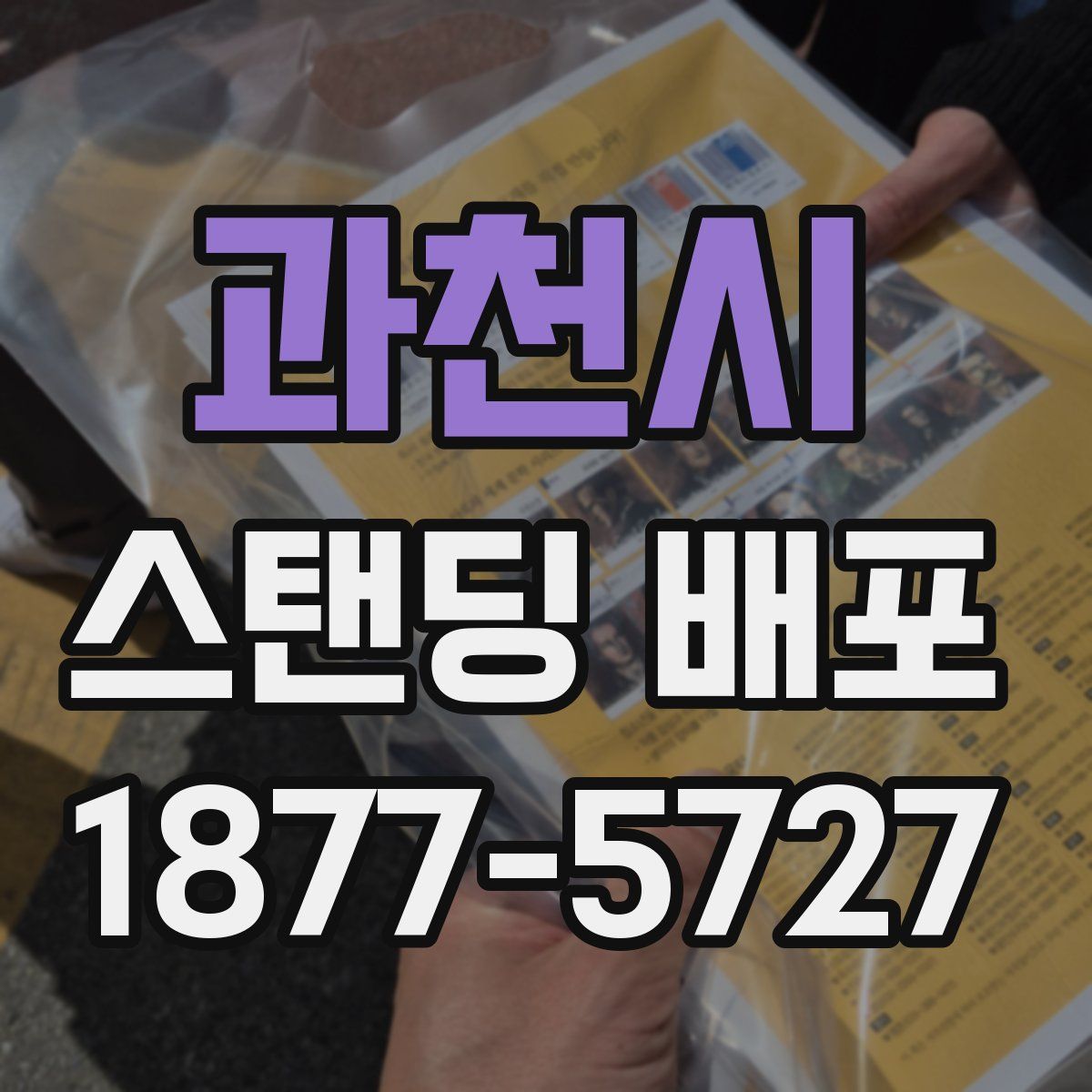 과천시 스탠딩 배포