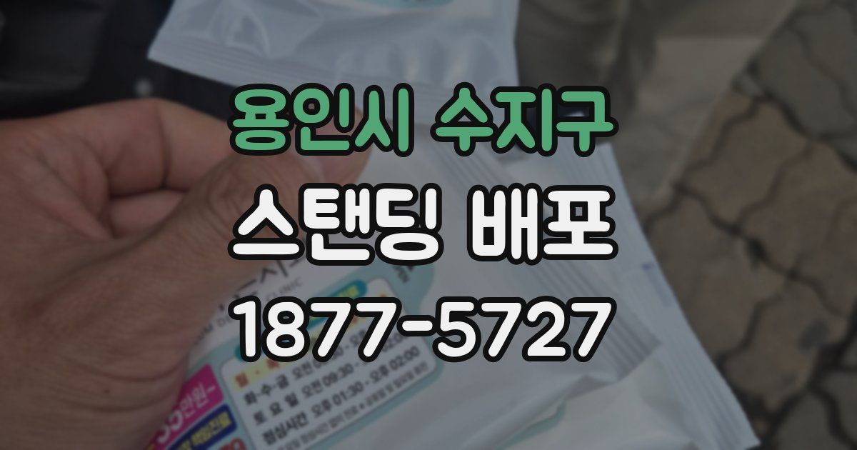 용인시 수지구 스탠딩 배포