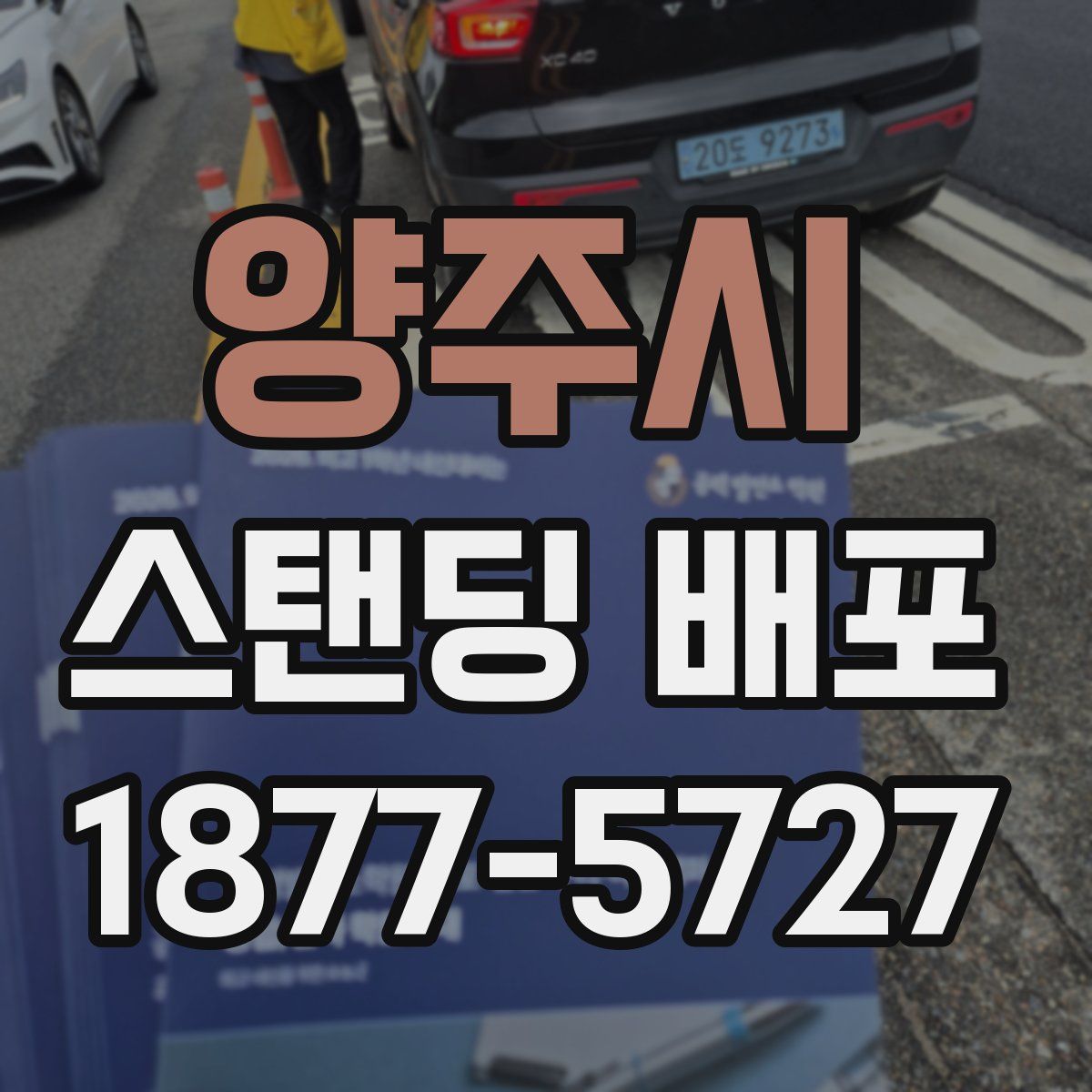 양주시 스탠딩 배포
