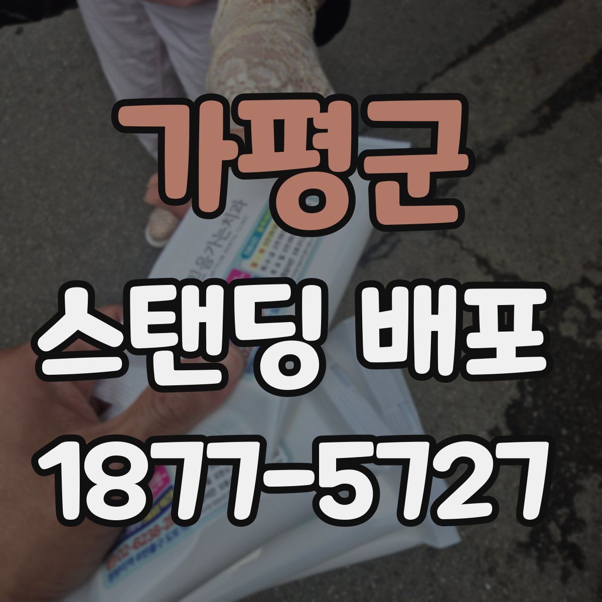 가평군 스탠딩 배포