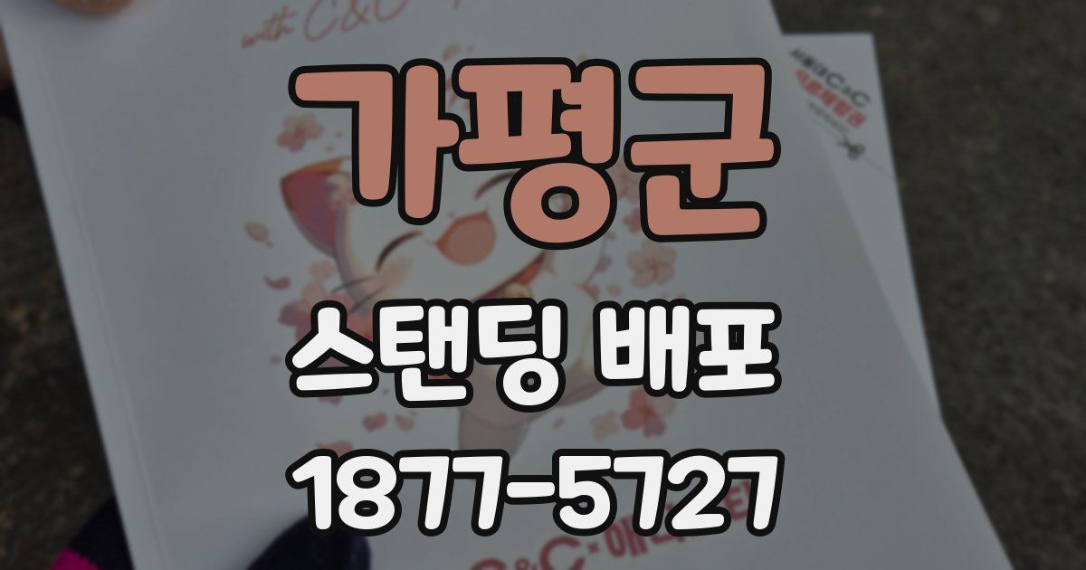 가평군 스탠딩 배포