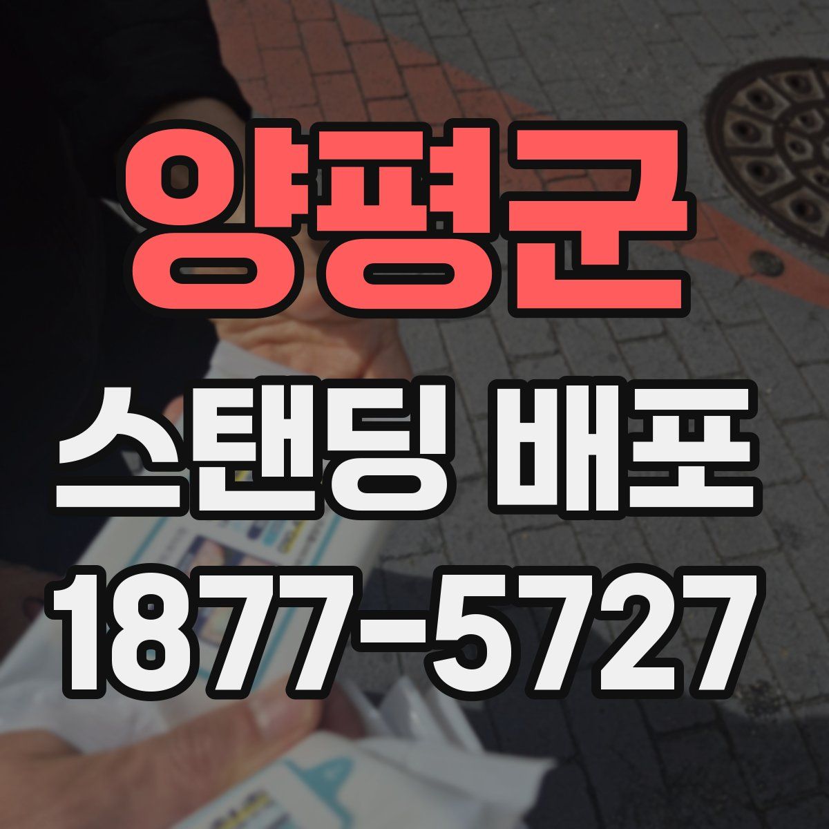 양평군 스탠딩 배포