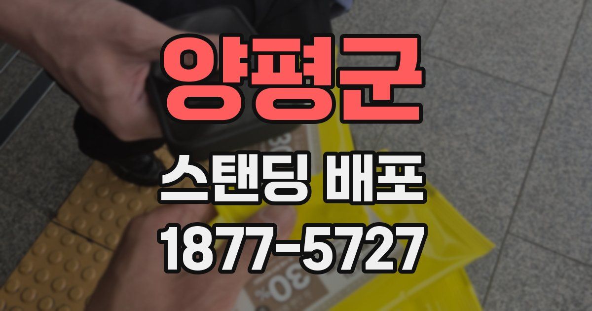 양평군 스탠딩 배포