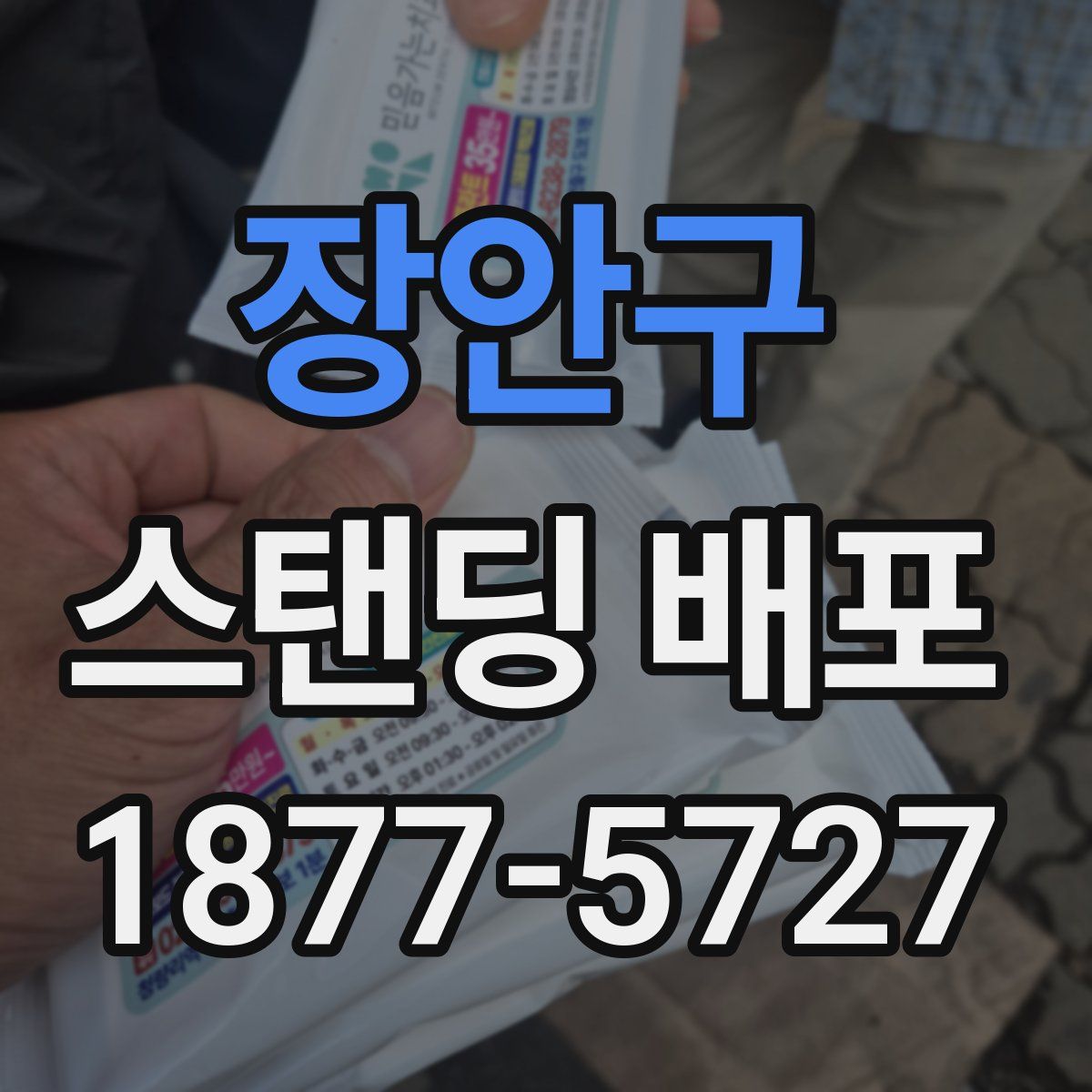 장안구 스탠딩 배포