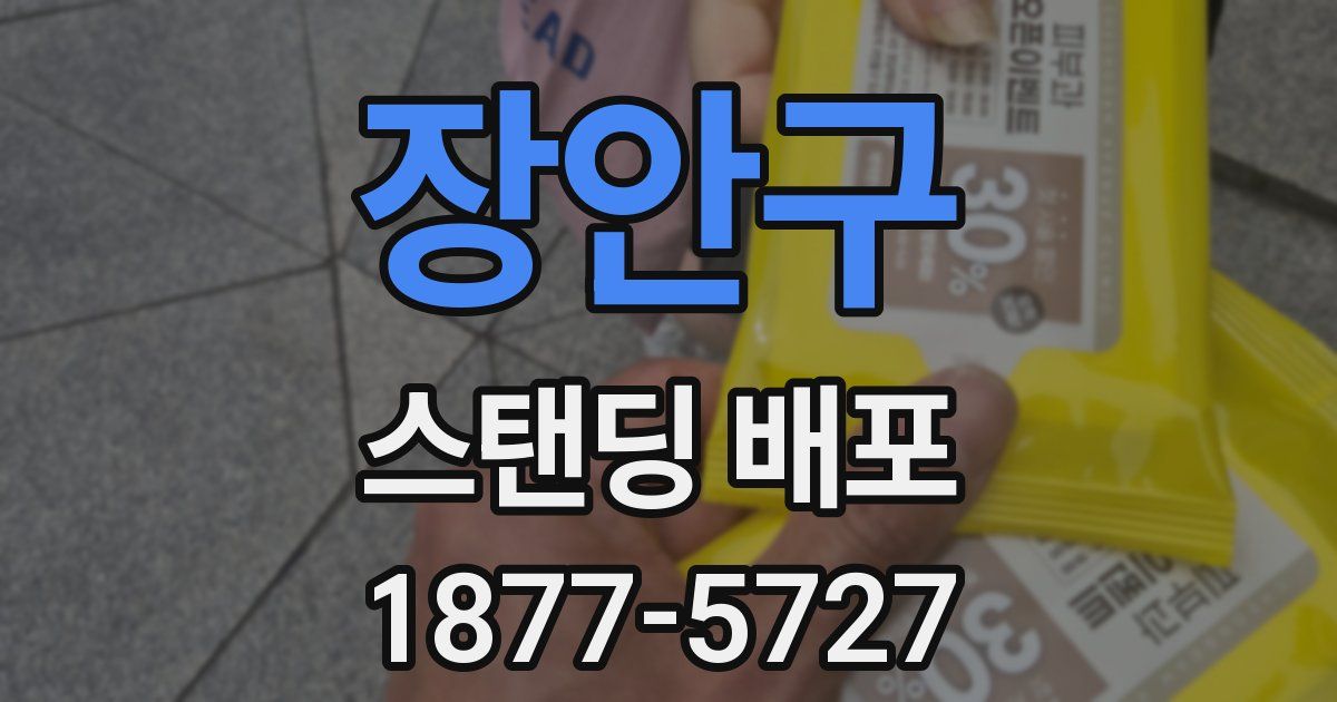 장안구 스탠딩 배포