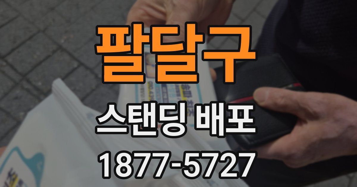 팔달구 스탠딩 배포