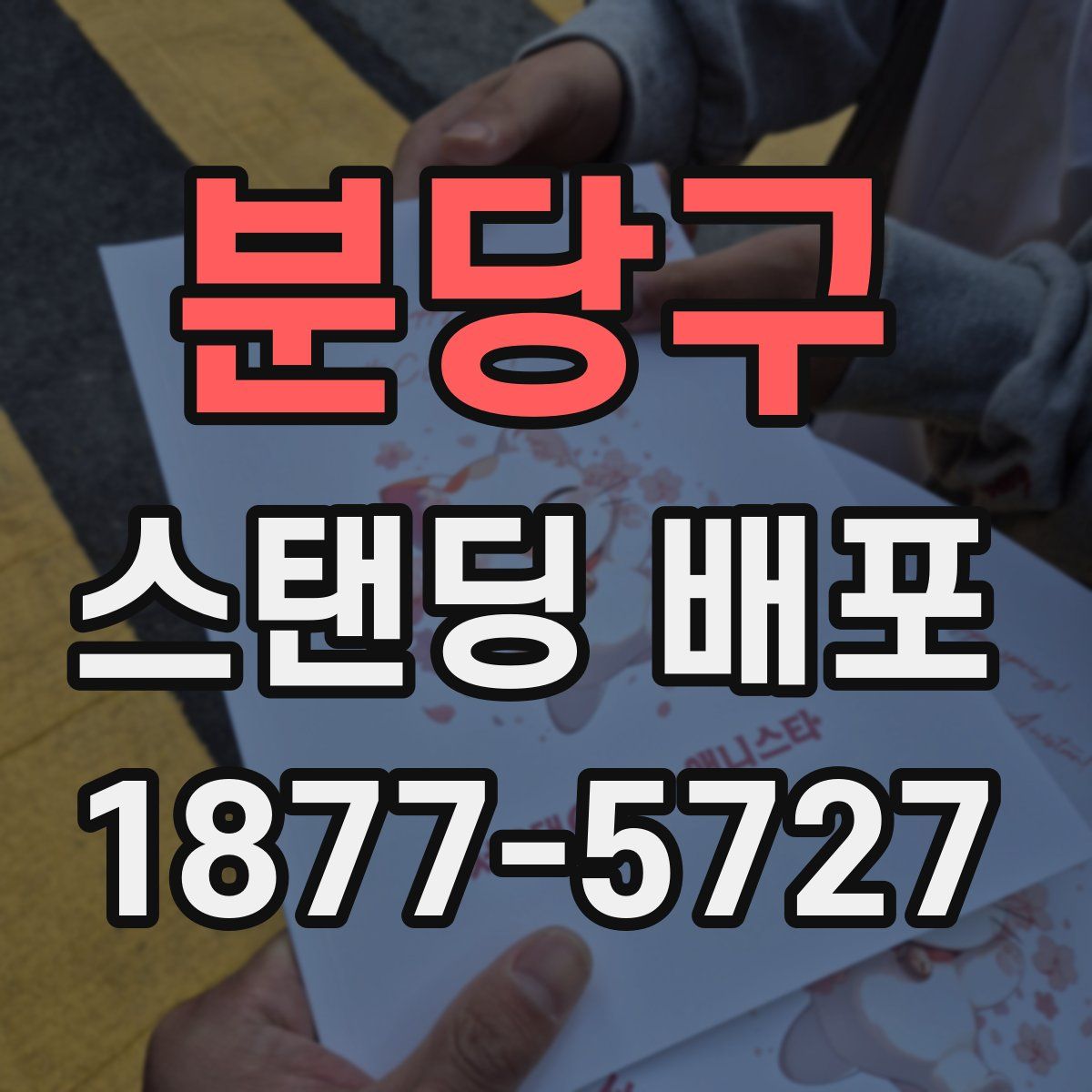 분당구 스탠딩 배포