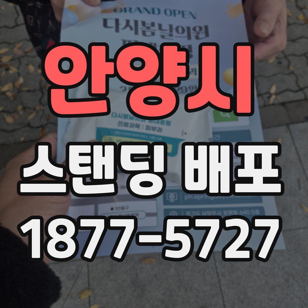 안양시 스탠딩 배포