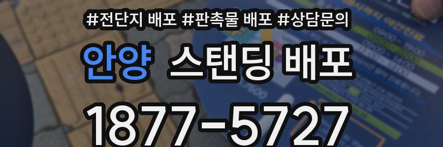 안양 스탠딩 배포