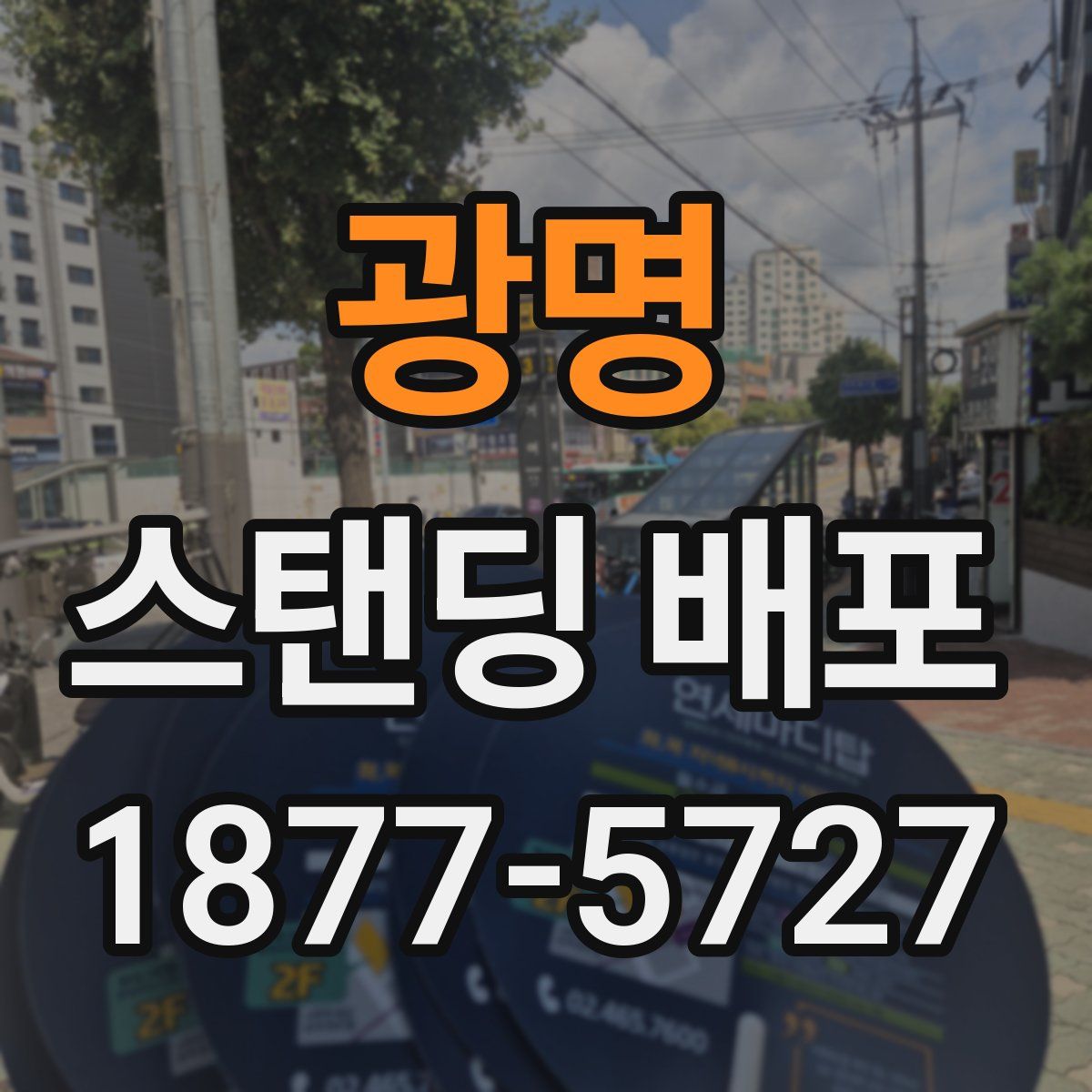 광명 스탠딩 배포
