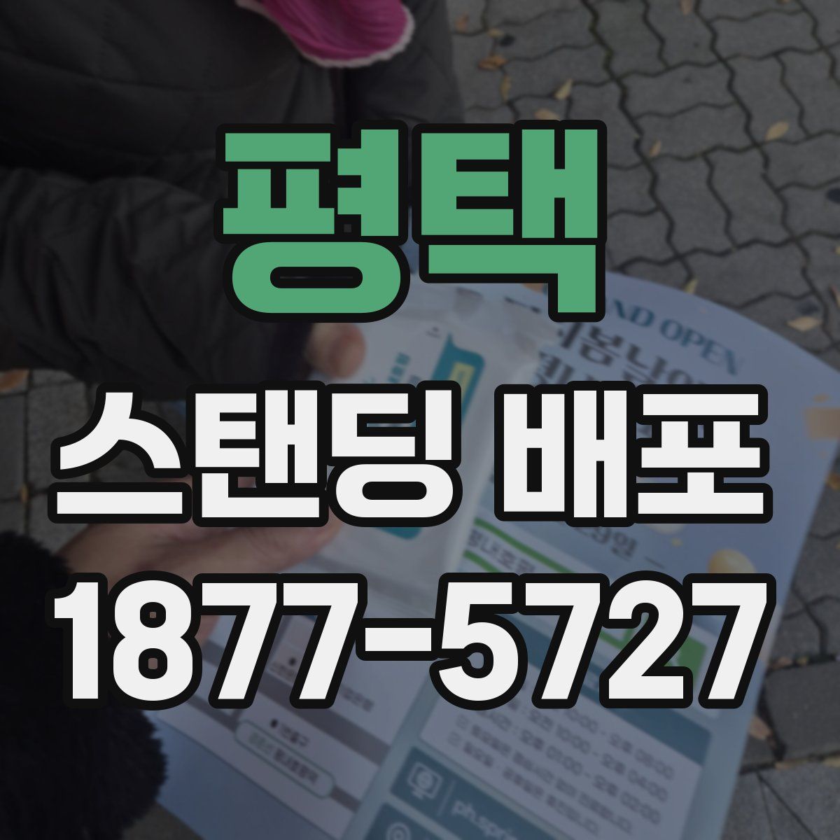 평택 스탠딩 배포