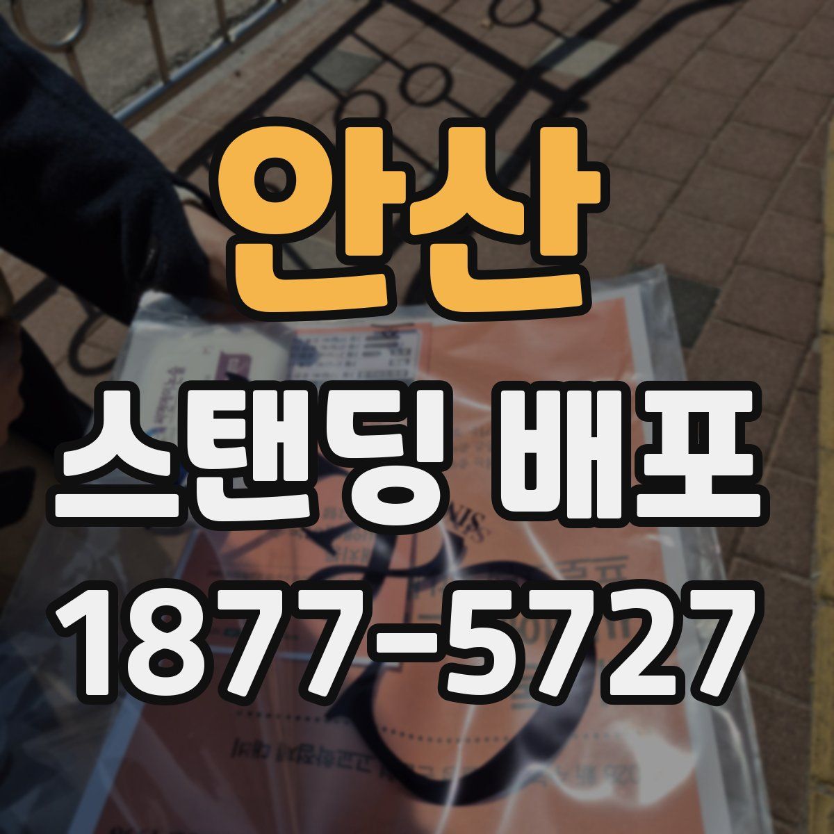 안산 스탠딩 배포