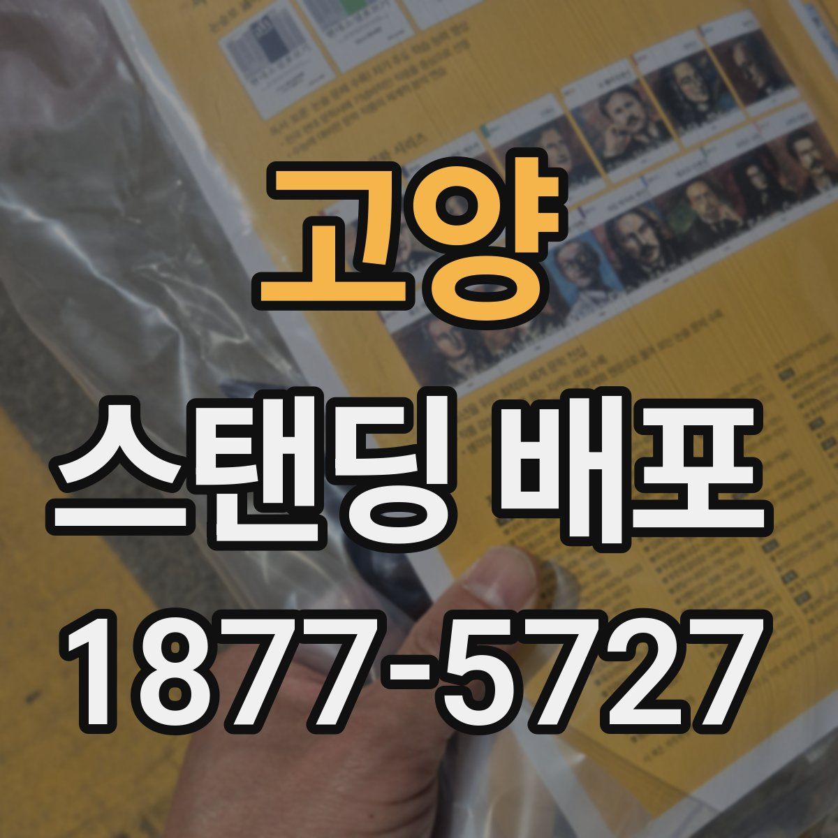 고양 스탠딩 배포