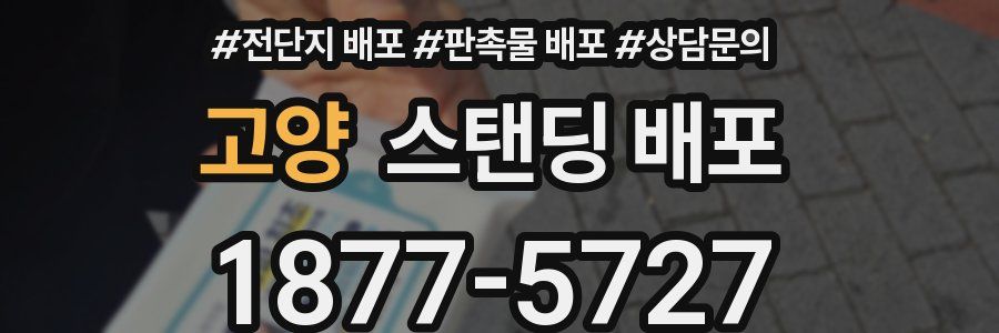 고양 스탠딩 배포