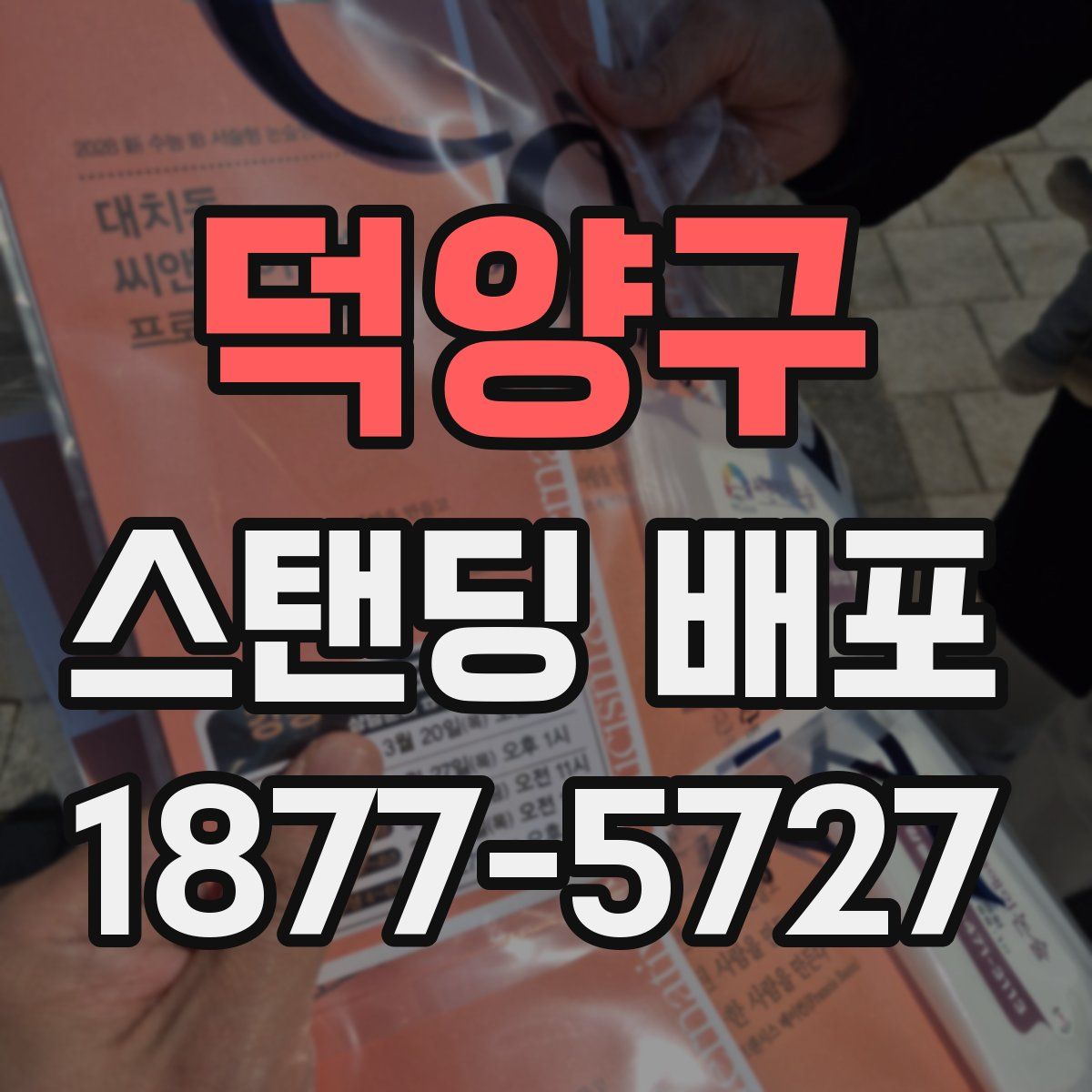 덕양구 스탠딩 배포