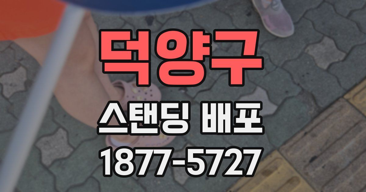 덕양구 스탠딩 배포