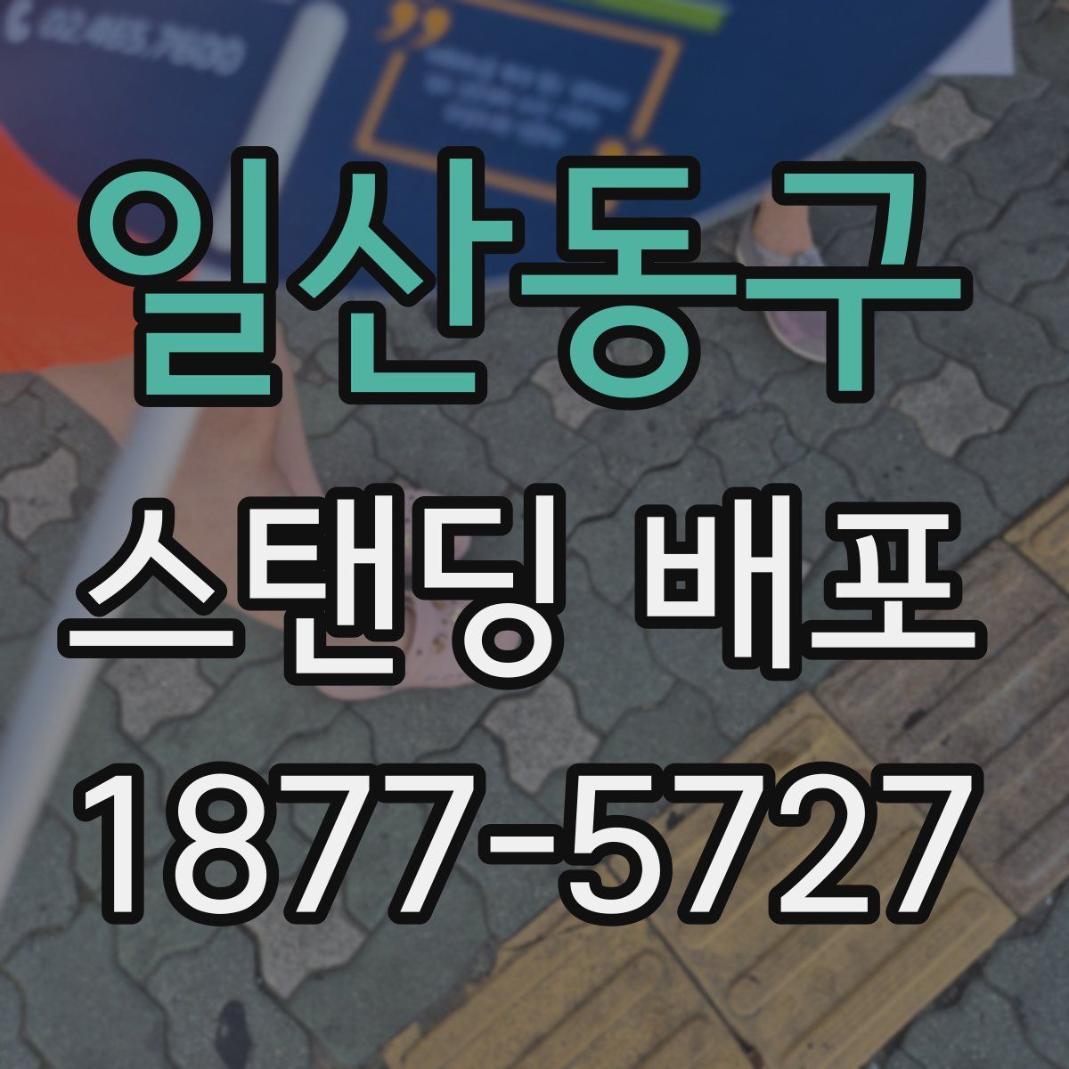 일산동구 스탠딩 배포
