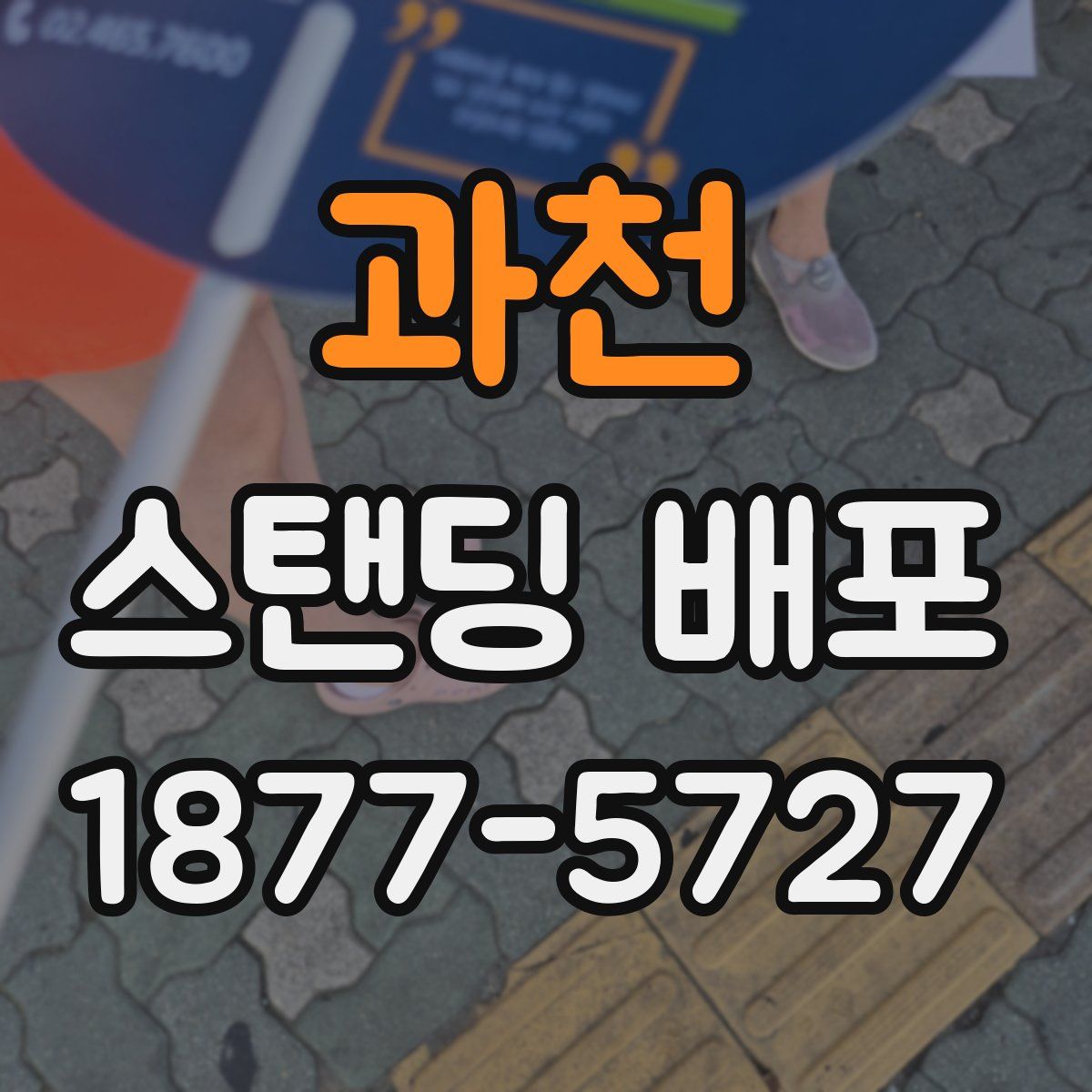 과천 스탠딩 배포