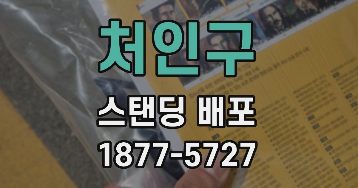 처인구 스탠딩 배포