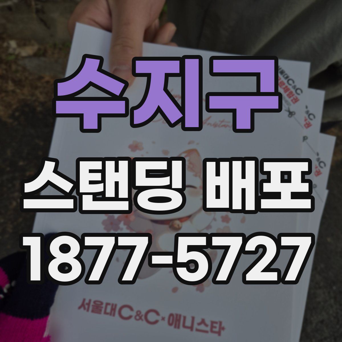 수지구 스탠딩 배포