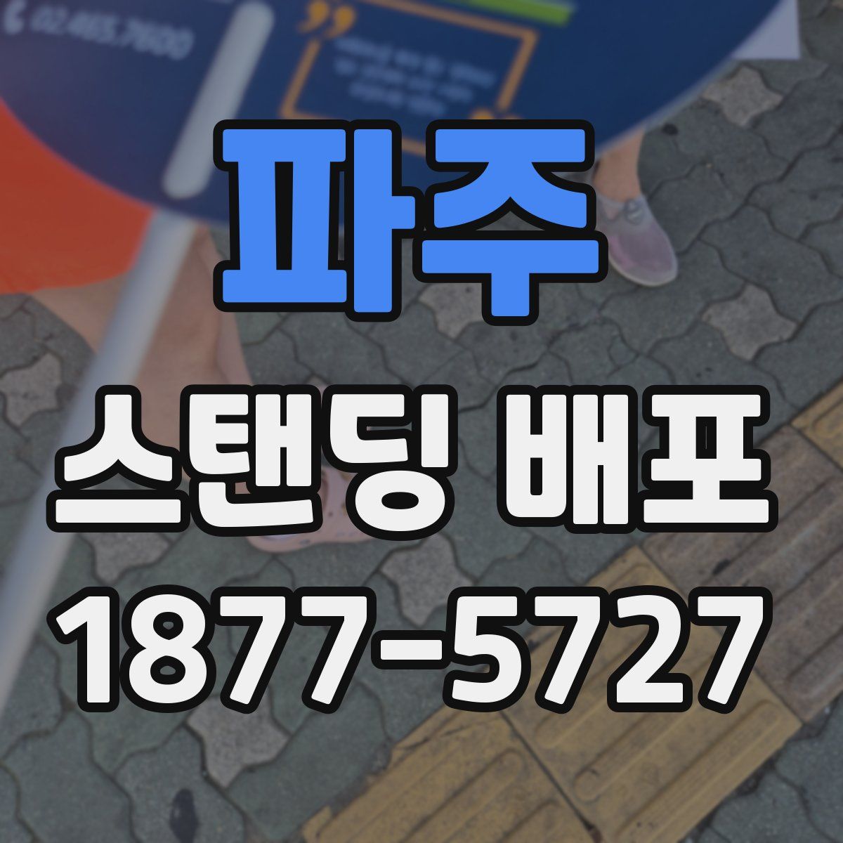 파주 스탠딩 배포