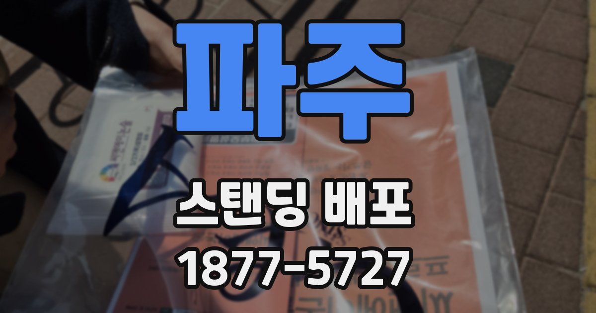 파주 스탠딩 배포