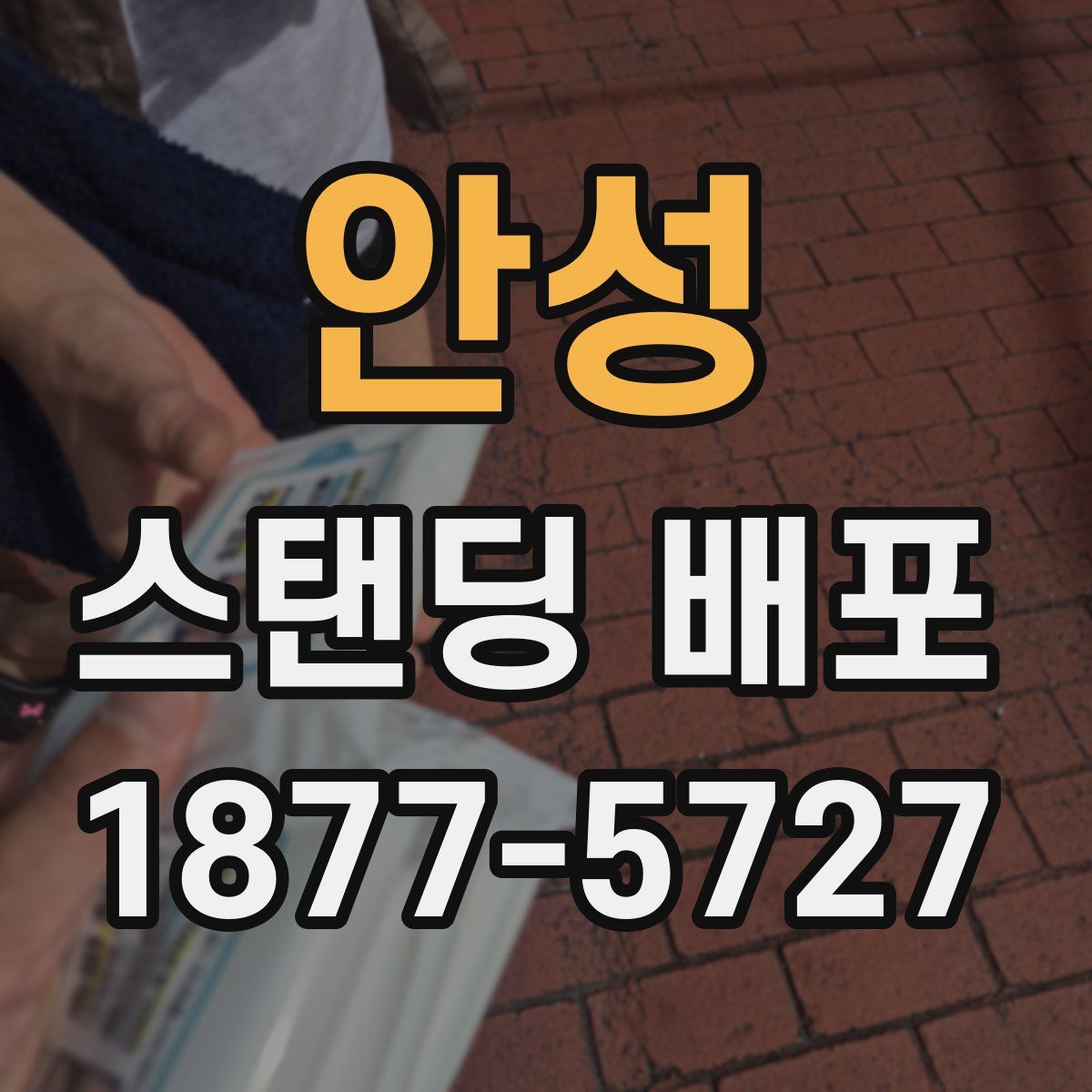 안성 스탠딩 배포