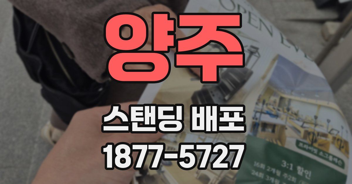 양주 스탠딩 배포