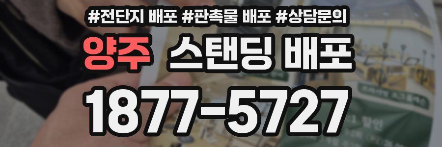 양주 스탠딩 배포