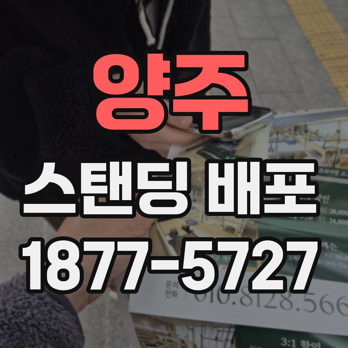 양주 스탠딩 배포