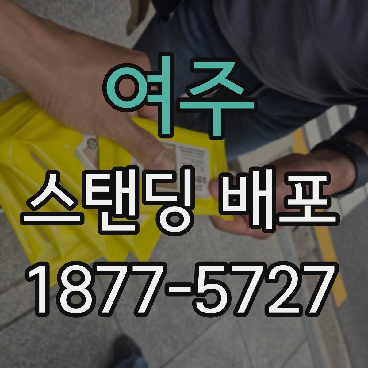 여주 스탠딩 배포