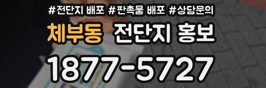 체부동 전단지 홍보