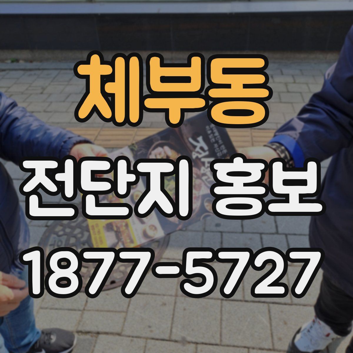 체부동 전단지 홍보