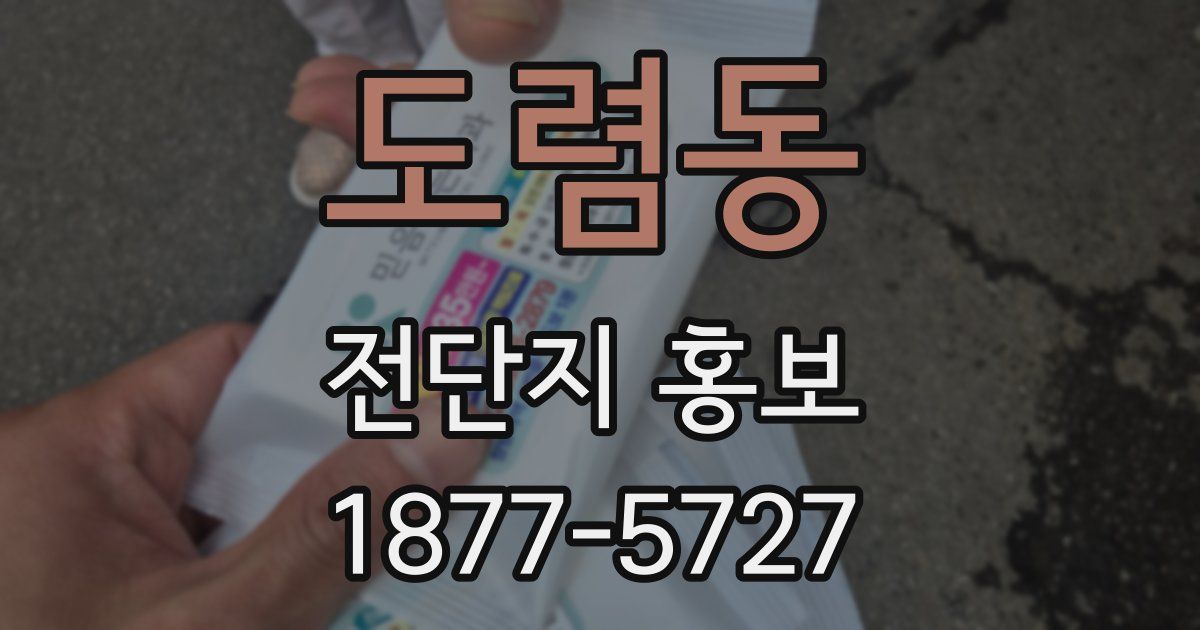 도렴동 전단지 홍보