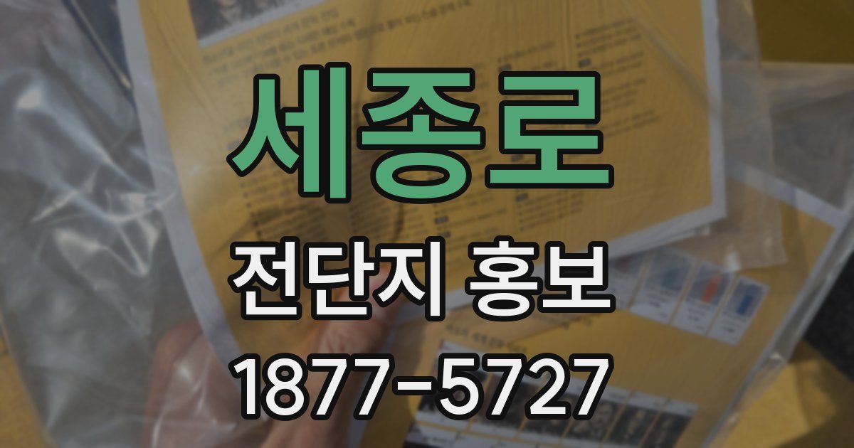 세종로 전단지 홍보