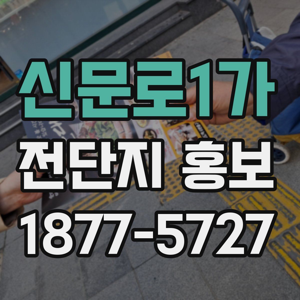 신문로1가 전단지 홍보