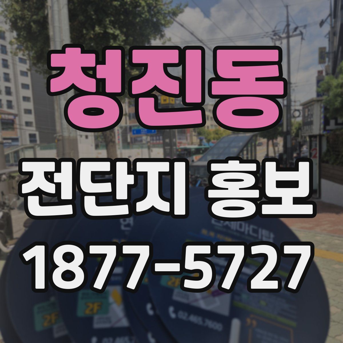 청진동 전단지 홍보