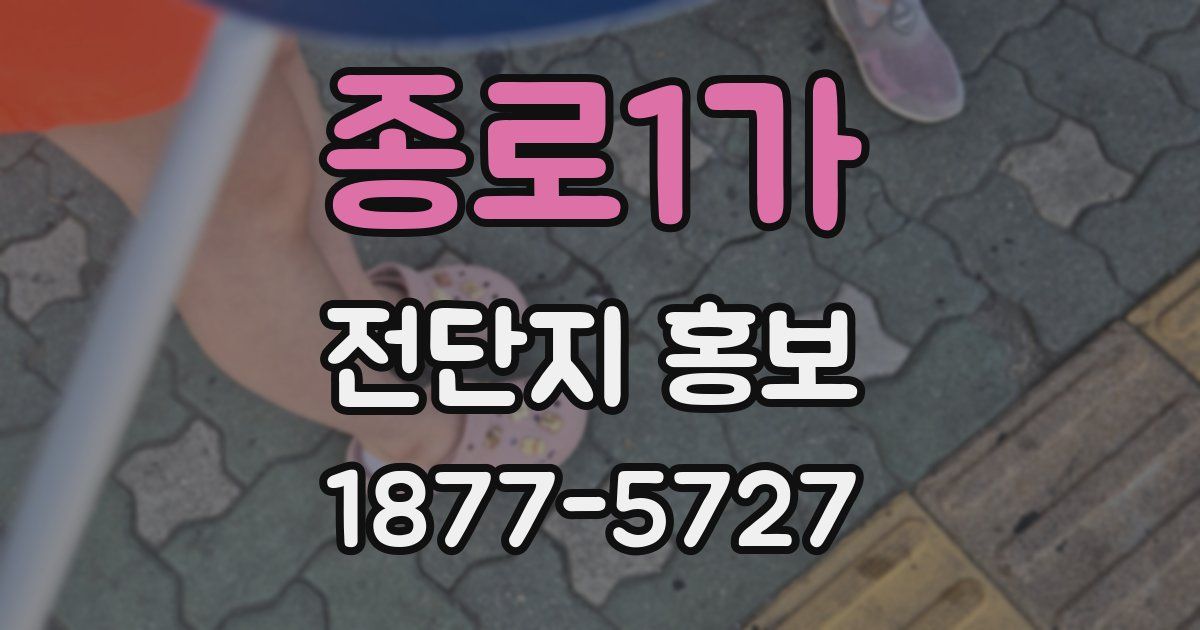 종로1가 전단지 홍보
