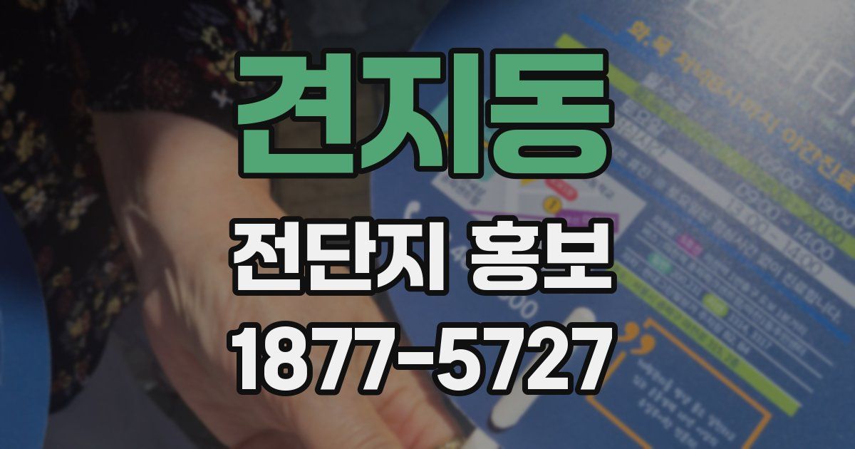 견지동 전단지 홍보