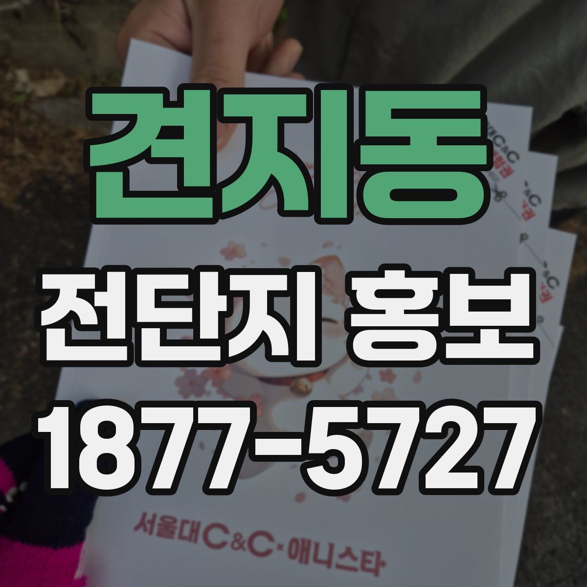 견지동 전단지 홍보