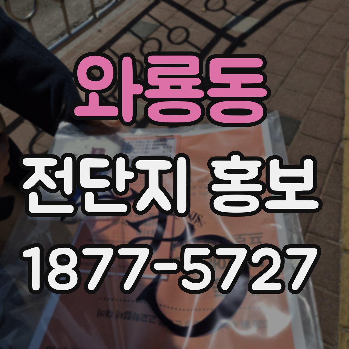 와룡동 전단지 홍보