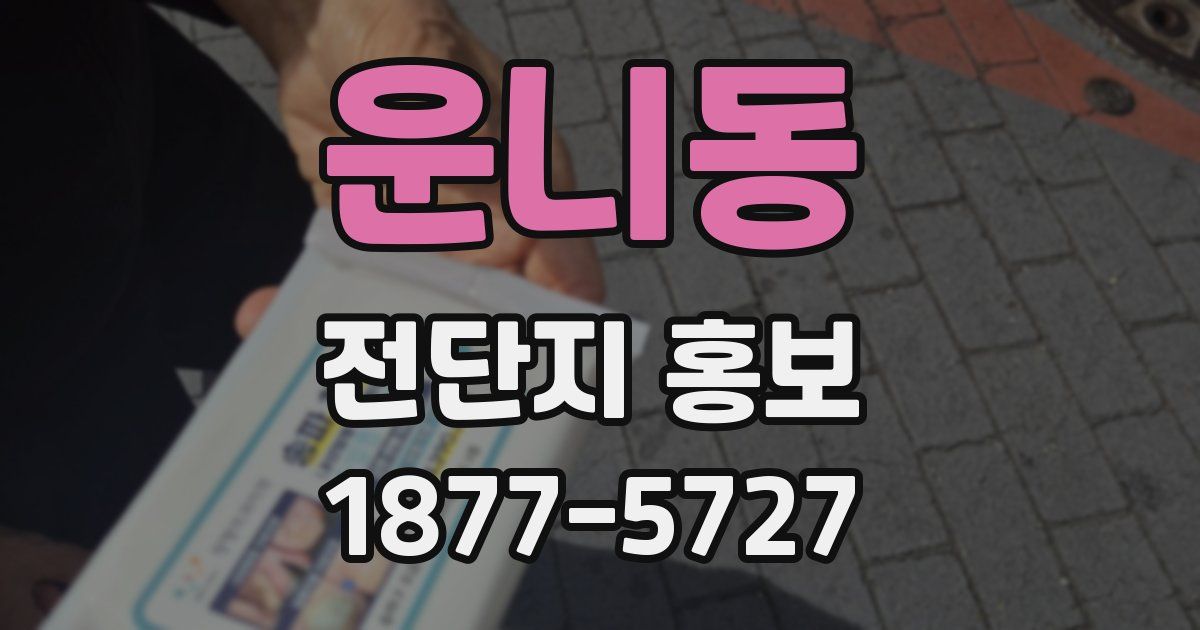운니동 전단지 홍보