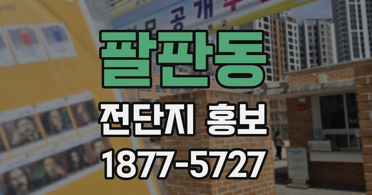 팔판동 전단지 홍보