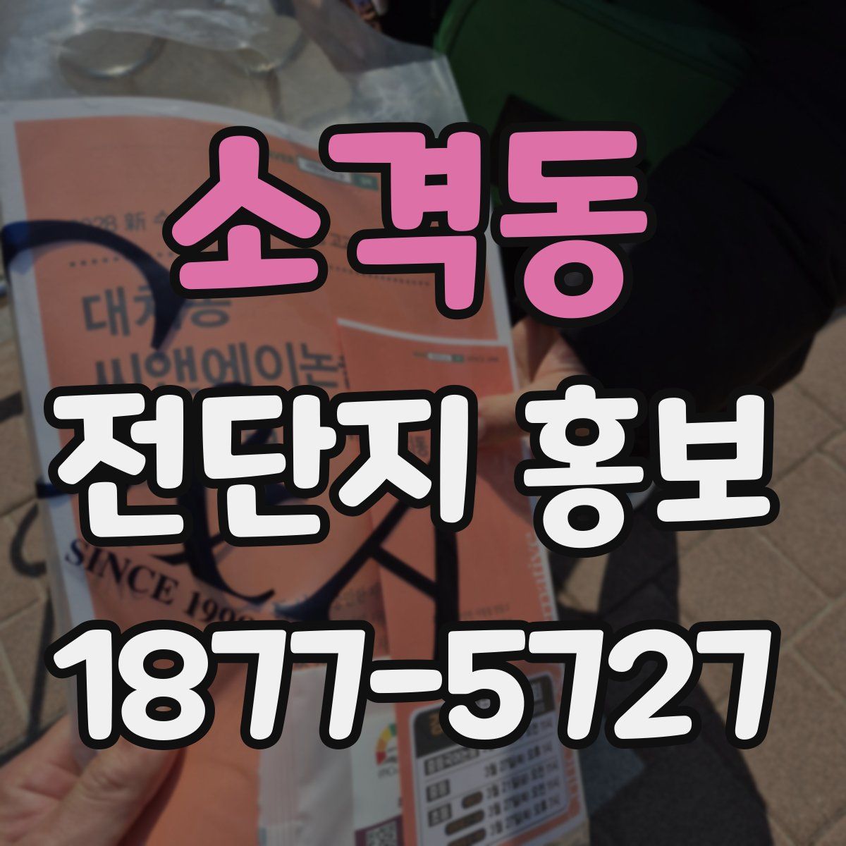 소격동 전단지 홍보