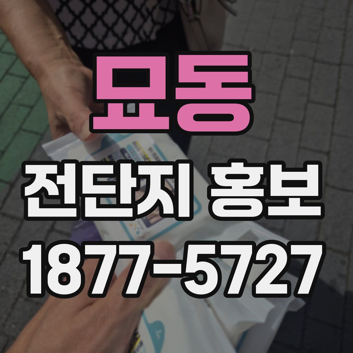 묘동 전단지 홍보