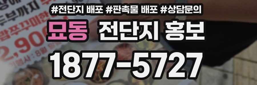 묘동 전단지 홍보