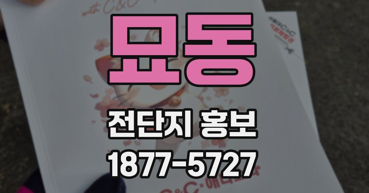 묘동 전단지 홍보